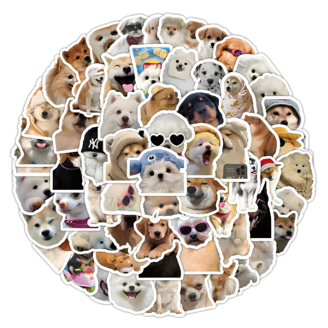 100 Stickers de Regalo