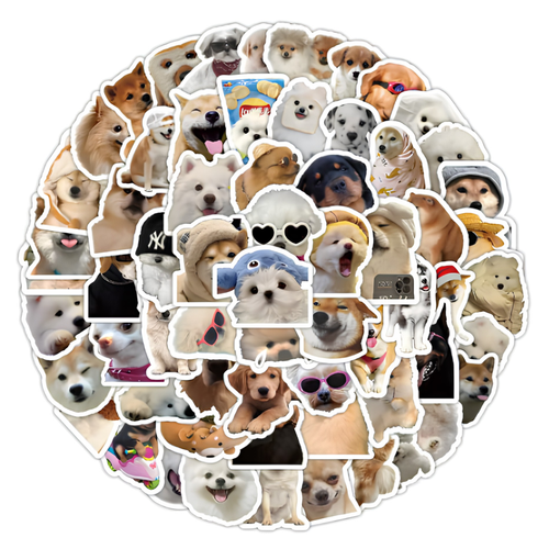 100 Stickers de Regalo
